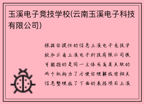 玉溪电子竞技学校(云南玉溪电子科技有限公司)