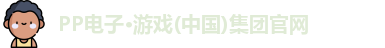 pp电子试玩